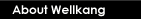 About Wellkang Group